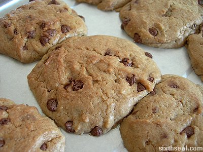 bc chocolate chip baked cookie