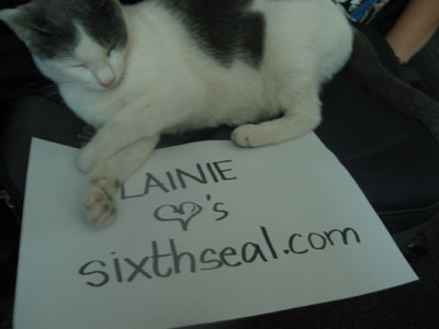 lainie cat