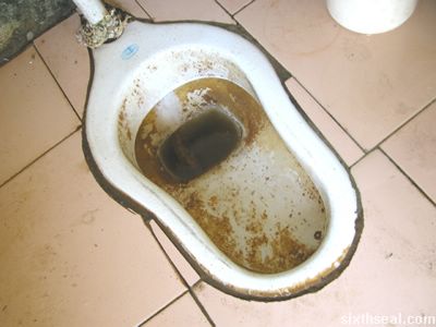 lung toilet floater
