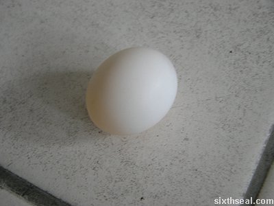 bird egg pristine