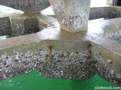sempadi underpass