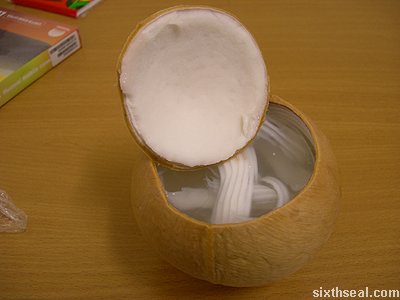 jelly coconut open