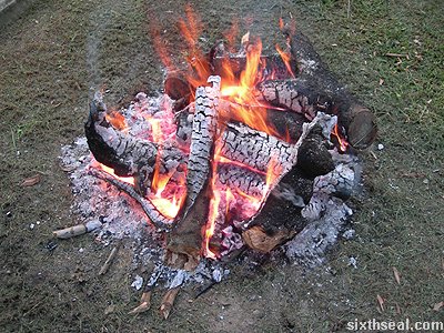 sanctuary fire