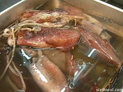 squid brine