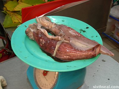 squid two