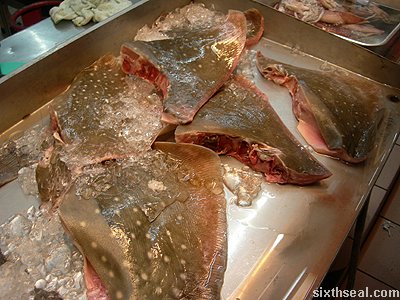 stingray on ice