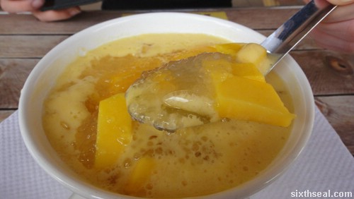 Mango Sago Pudding Ice