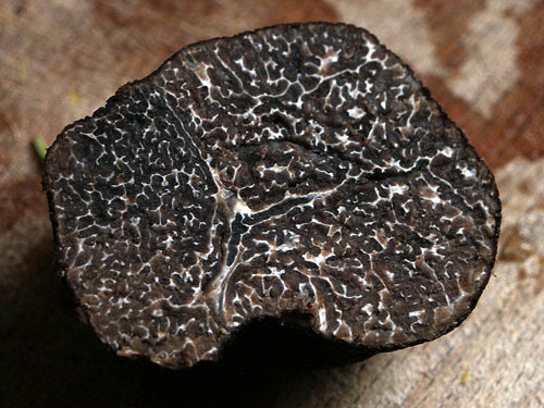 black-truffles