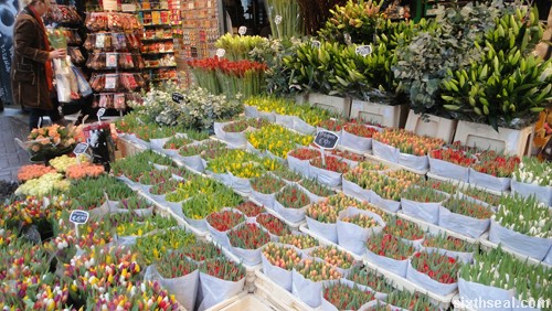 amsterdam flower market