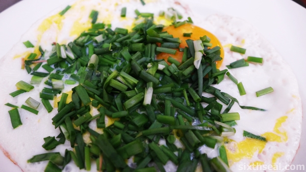 spring onions omelet