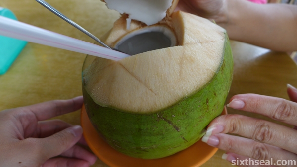 wonderland coconut