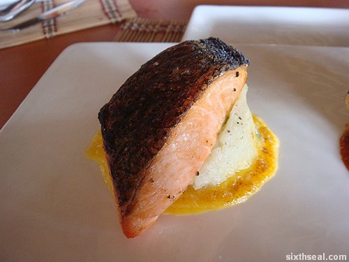 salmon