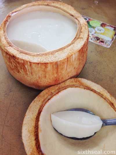 coconut pudding